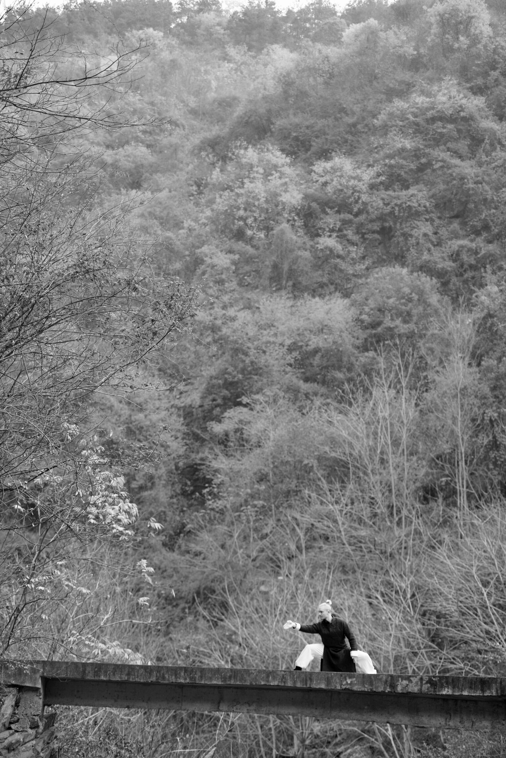 DSC_1565 copy